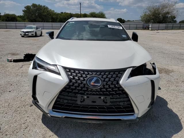 2021 Lexus UX 250H