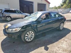 Honda salvage cars for sale: 2015 Honda Accord EX