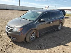 Honda Odyssey exl salvage cars for sale: 2016 Honda Odyssey EXL