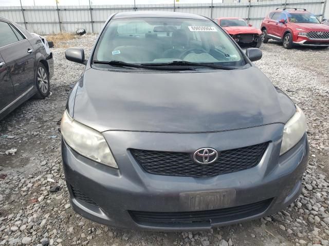 2010 Toyota Corolla Base