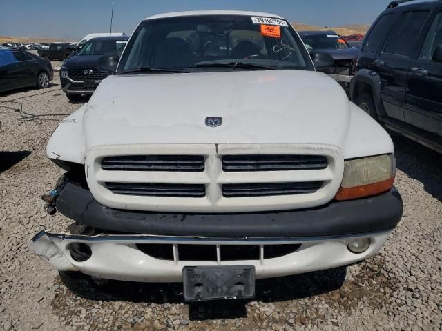 1999 Dodge Dakota