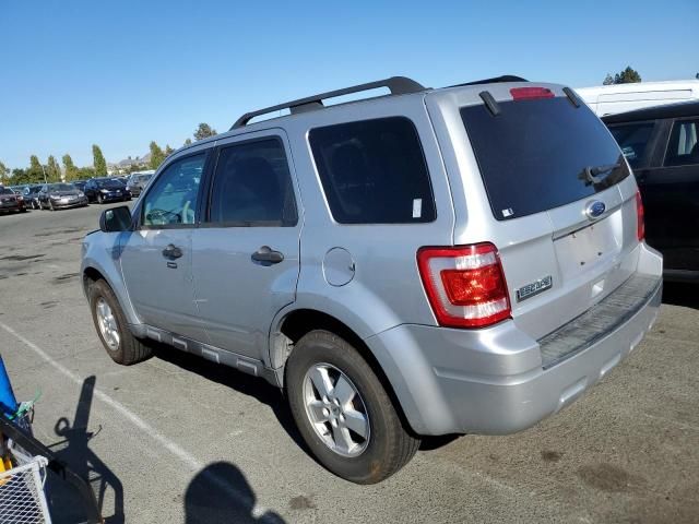 2010 Ford Escape XLT