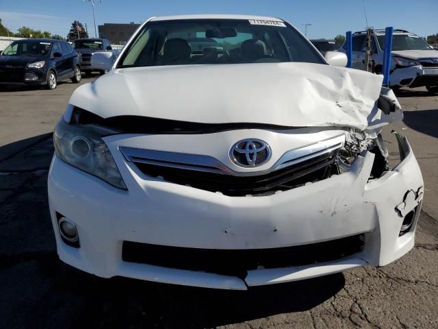 2010 Toyota Camry Hybrid