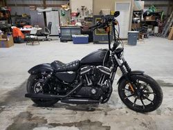 Harley-Davidson XL883 N Vehiculos salvage en venta: 2022 Harley-Davidson XL883 N