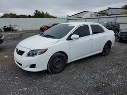 Toyota Corolla Vehiculos salvage en venta: 2010 Toyota Corolla Base