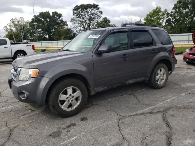 2012 Ford Escape XLT