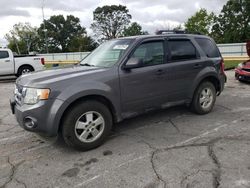 Ford Escape salvage cars for sale: 2012 Ford Escape XLT