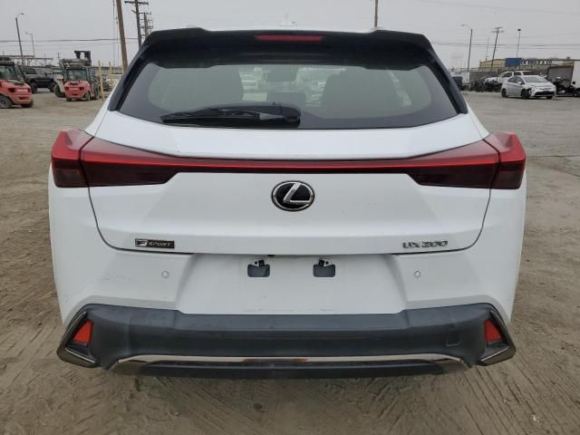 2019 Lexus UX 200