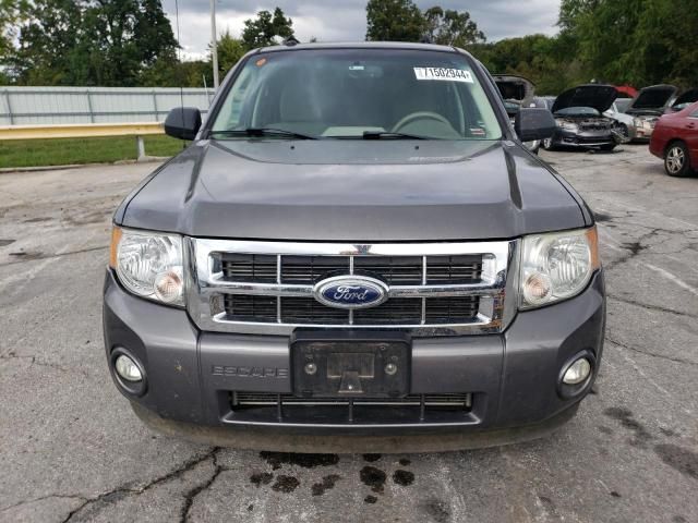 2012 Ford Escape XLT