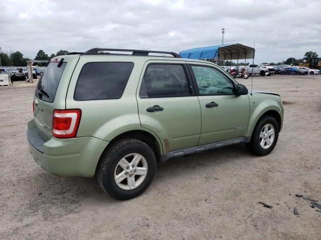 2008 Ford Escape HEV