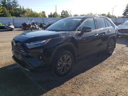 Toyota salvage cars for sale: 2024 Toyota Rav4 Limited