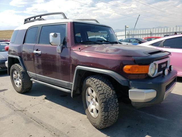 2007 Toyota FJ Cruiser