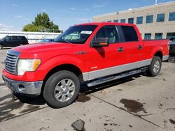 Ford f-150 salvage cars for sale: 2011 Ford F150 Supercrew