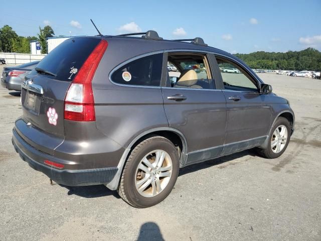 2010 Honda CR-V EXL