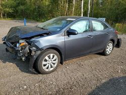 Toyota Corolla salvage cars for sale: 2015 Toyota Corolla L