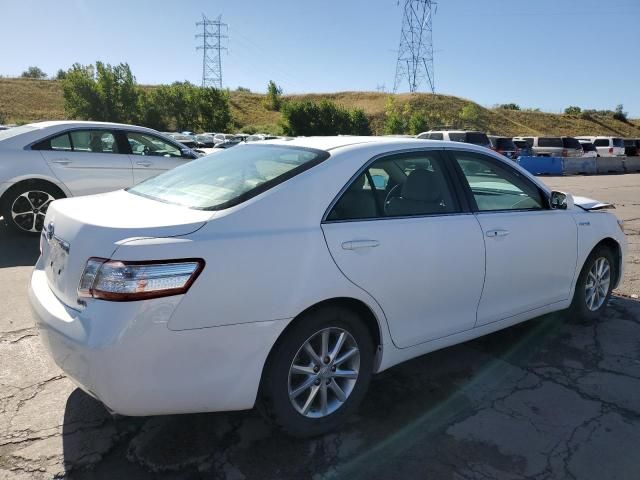 2010 Toyota Camry Hybrid