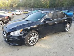 Nissan Maxima salvage cars for sale: 2012 Nissan Maxima S