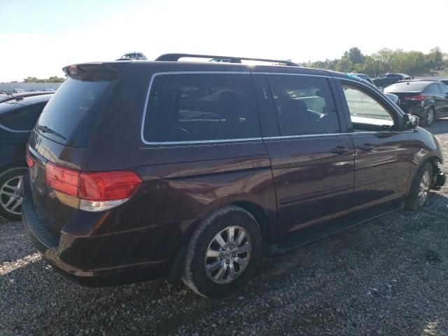 2010 Honda Odyssey EXL