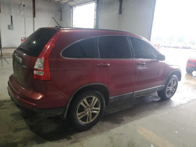 2010 Honda CR-V EXL