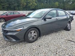 Hyundai Elantra salvage cars for sale: 2024 Hyundai Elantra SE