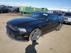 2013 Ford Mustang for sale in Brighton, CO