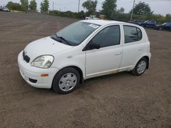 Toyota Echo salvage cars for sale: 2005 Toyota Echo