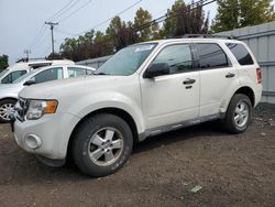 Ford Escape salvage cars for sale: 2012 Ford Escape XLT