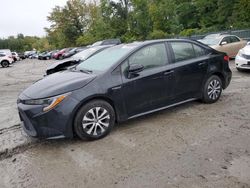 Toyota Corolla salvage cars for sale: 2021 Toyota Corolla LE