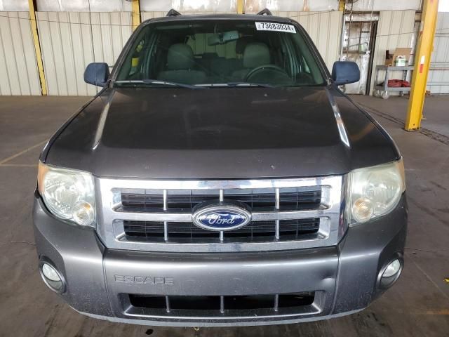 2012 Ford Escape XLT