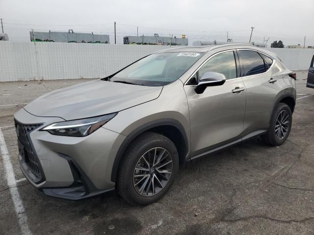 2024 Lexus NX 350 Base