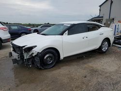 Nissan Maxima salvage cars for sale: 2018 Nissan Maxima 3.5S