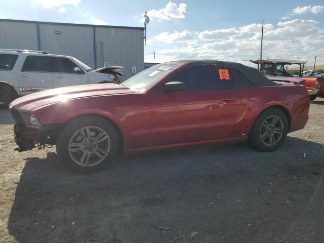 2013 Ford Mustang