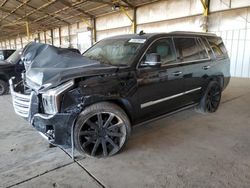 Cadillac Escalade salvage cars for sale: 2016 Cadillac Escalade Platinum