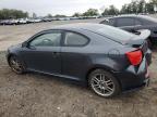 2006 Scion TC