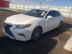 2016 Lexus ES 300H for sale in Elgin, IL