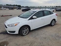 Ford Focus salvage cars for sale: 2017 Ford Focus SE