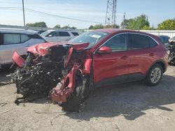 Ford Escape salvage cars for sale: 2020 Ford Escape SE