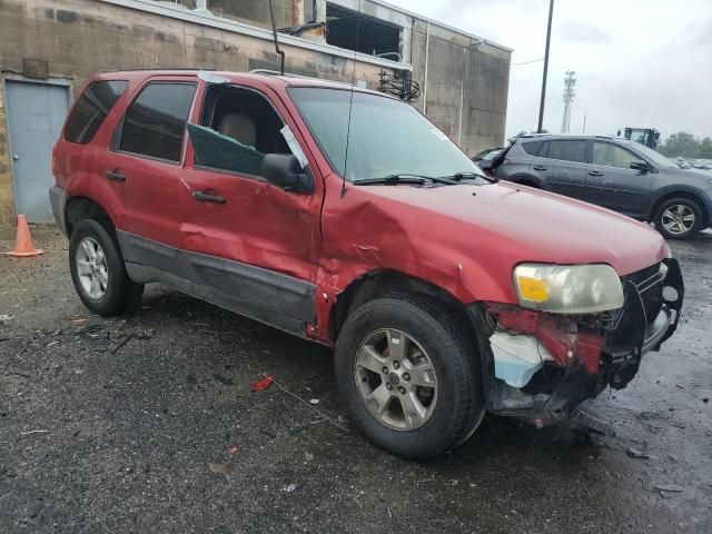 2005 Ford Escape XLT