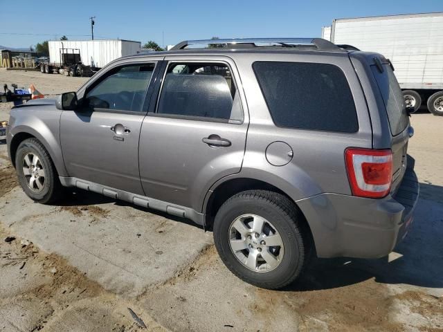 2010 Ford Escape Limited