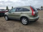 2007 Honda CR-V EXL