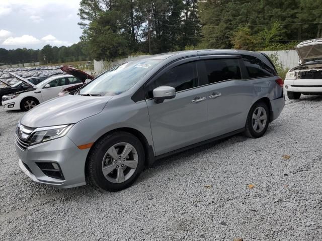 2019 Honda Odyssey EXL