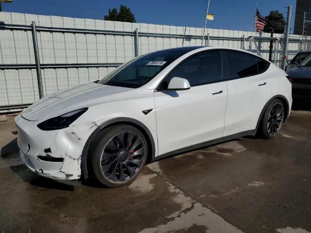 2023 Tesla Model Y