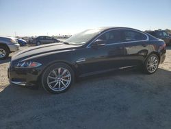 Jaguar xf Vehiculos salvage en venta: 2013 Jaguar XF