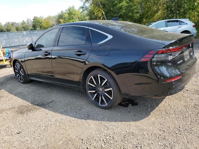 2024 Honda Accord Touring Hybrid