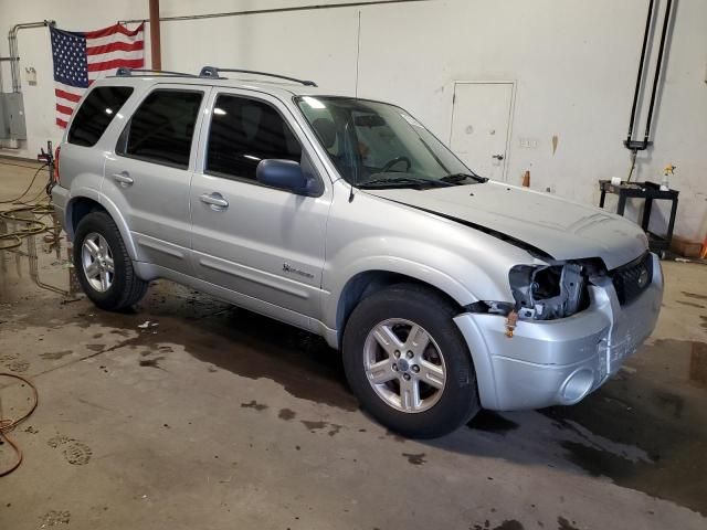 2006 Ford Escape HEV