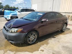 2008 Scion TC en venta en Lawrenceburg, KY