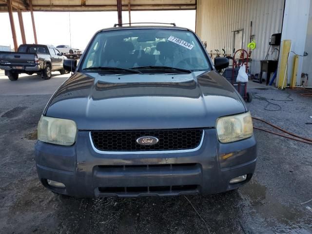 2004 Ford Escape XLT