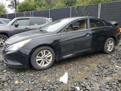 2014 Hyundai Sonata GLS en venta en Waldorf, MD