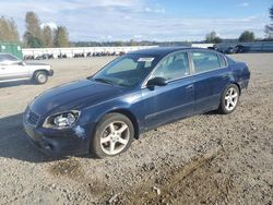 Nissan salvage cars for sale: 2005 Nissan Altima SE