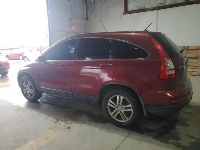 2010 Honda CR-V EXL